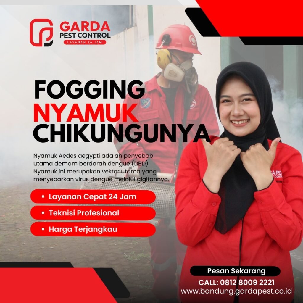 Spesialis Jasa Fogging Nyamuk Bandung Basmi Chikungunya dan DBD