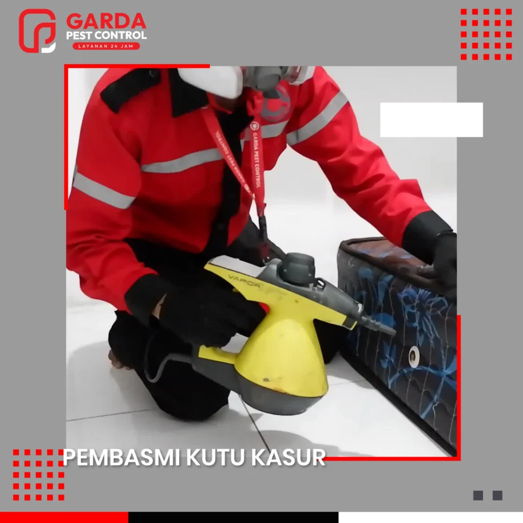 Jasa Pembasmi Kutu Busuk atau Kutu Kasur (Bed Bugs)
