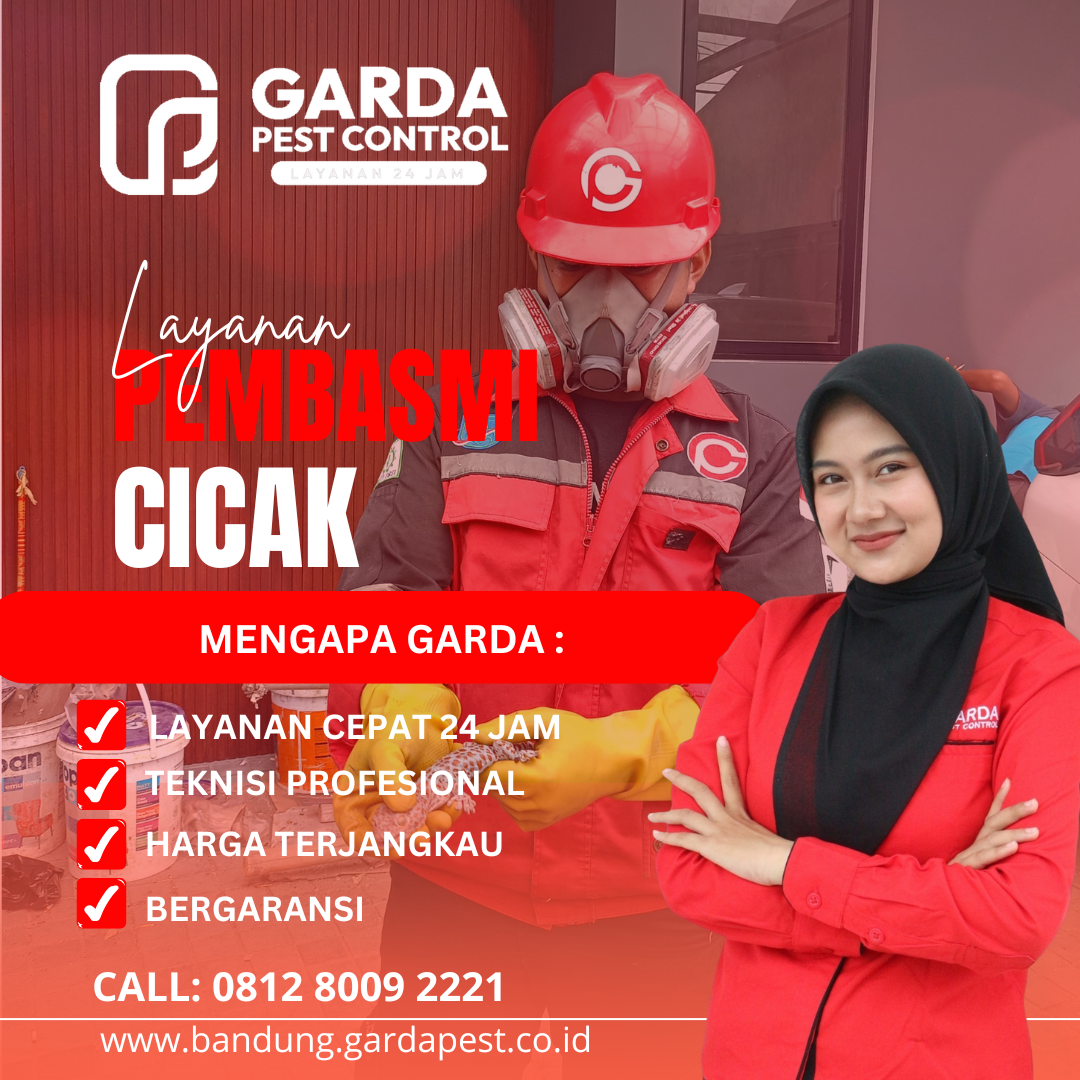 Jasa Basmi Cicak di Bandung Proses Cepat Hasil Efektif