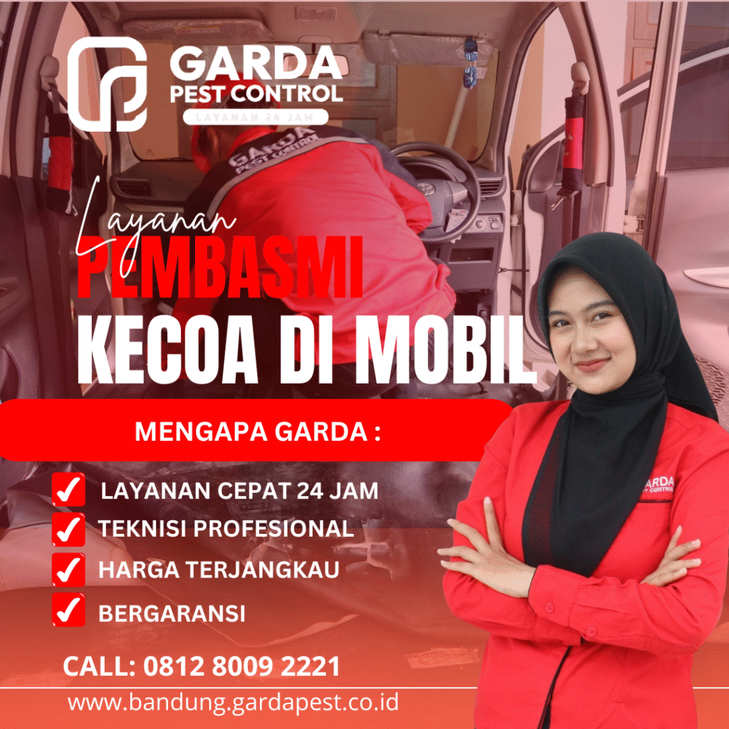 Jasa Basmi Kecoa Kecil di Mobil Area Bandung Bergaransi & Cepat