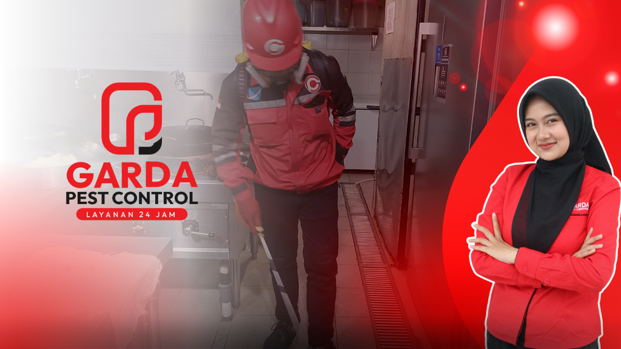 Tukang Basmi Kecoa di Bandung Panggilan 24 Jam Terbaik