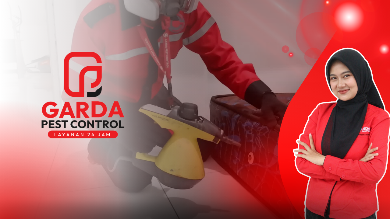 Jasa Pembasmi Kutu Busuk di Bandung Penanganan 24 Jam