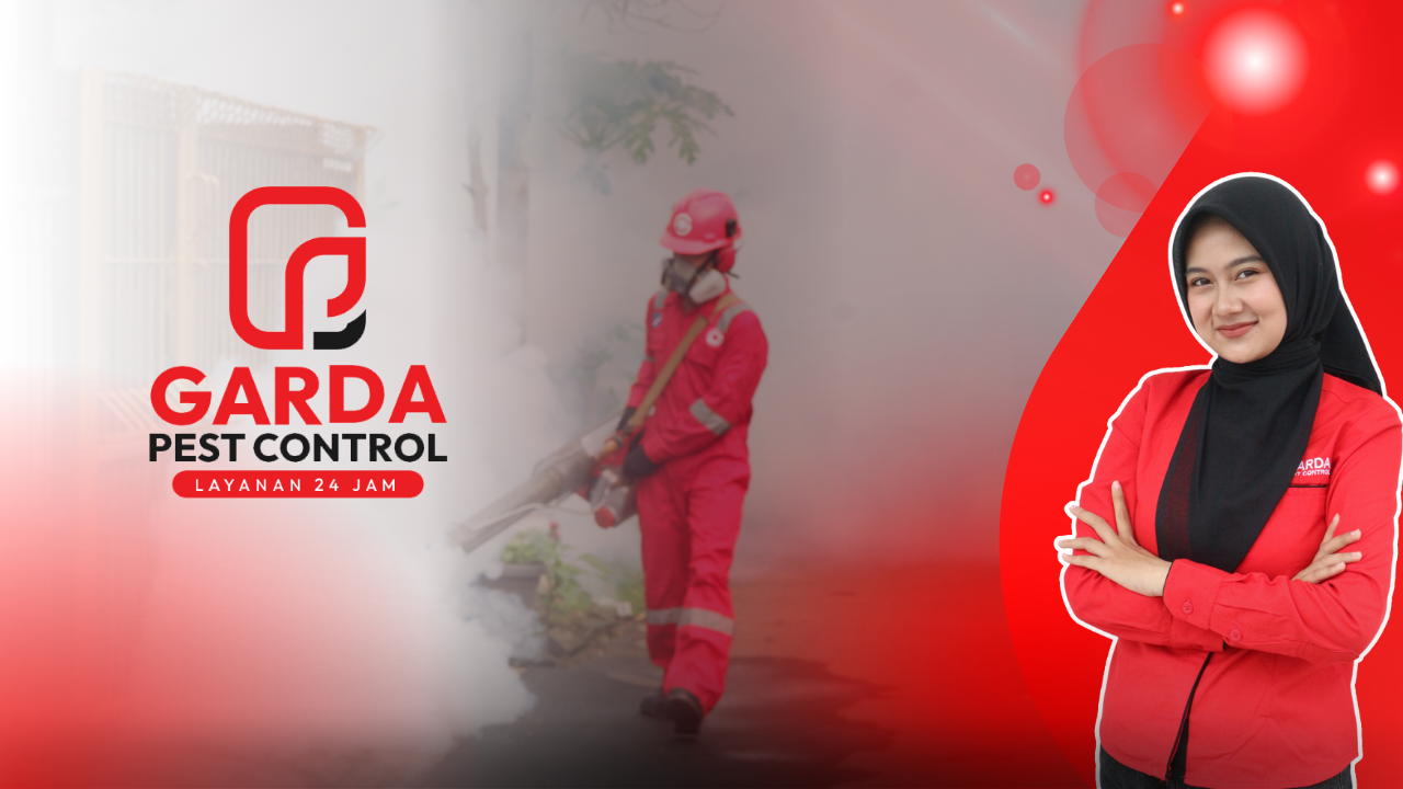 Pest Control Pembasmi Nyamuk dbd