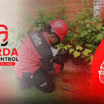 Jasa Anti Rayap di Bandung Berkualitas Bergaransi Pest Control Pembasmi Rayap Metode Baiting