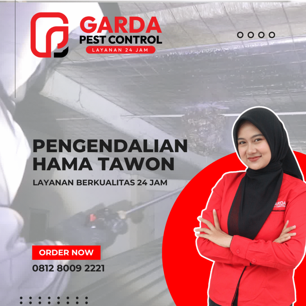 Jasa Pembasmi Sarang Tawon di Bandung