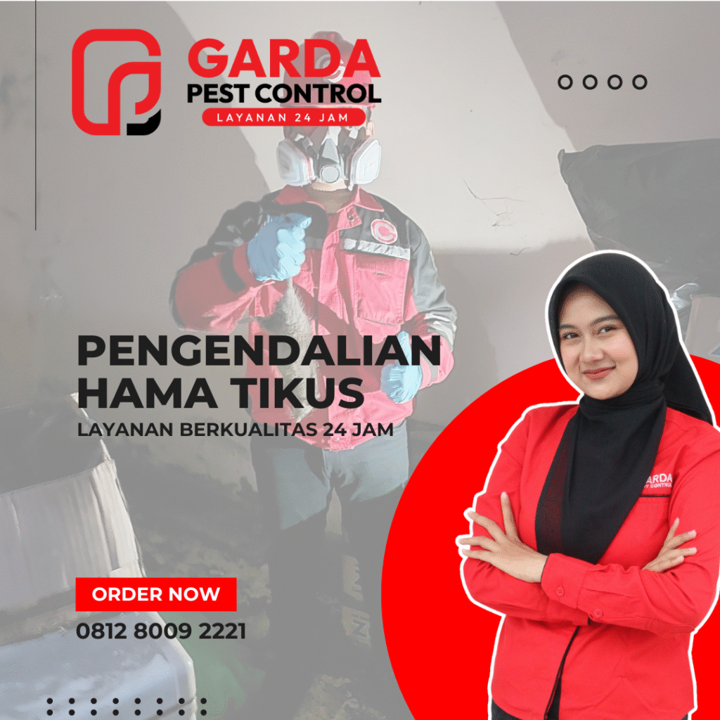 Jasa Pembasmi Tikus Terdekat di Bandung