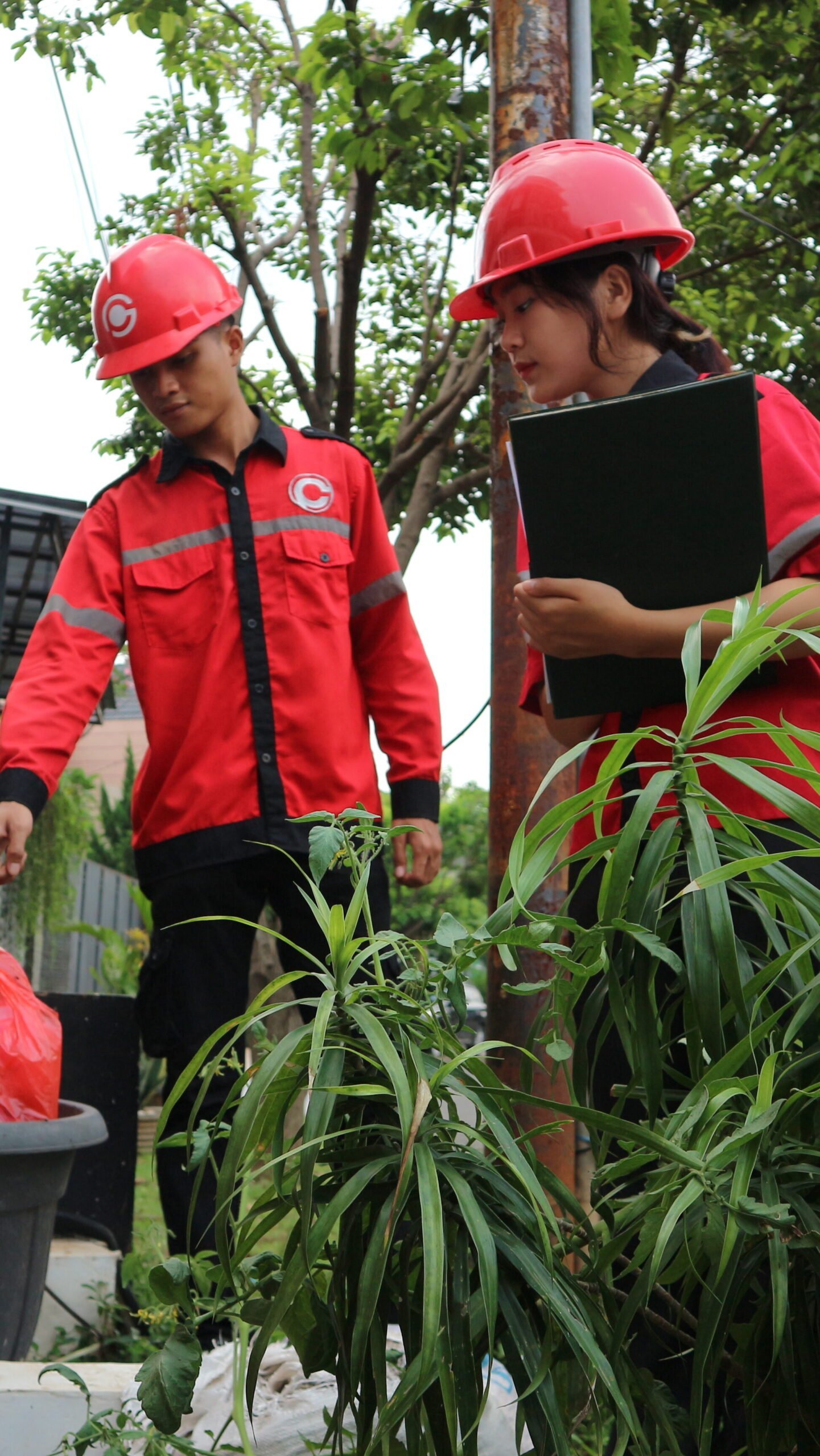 Pest Control Terbesar di Indonesia