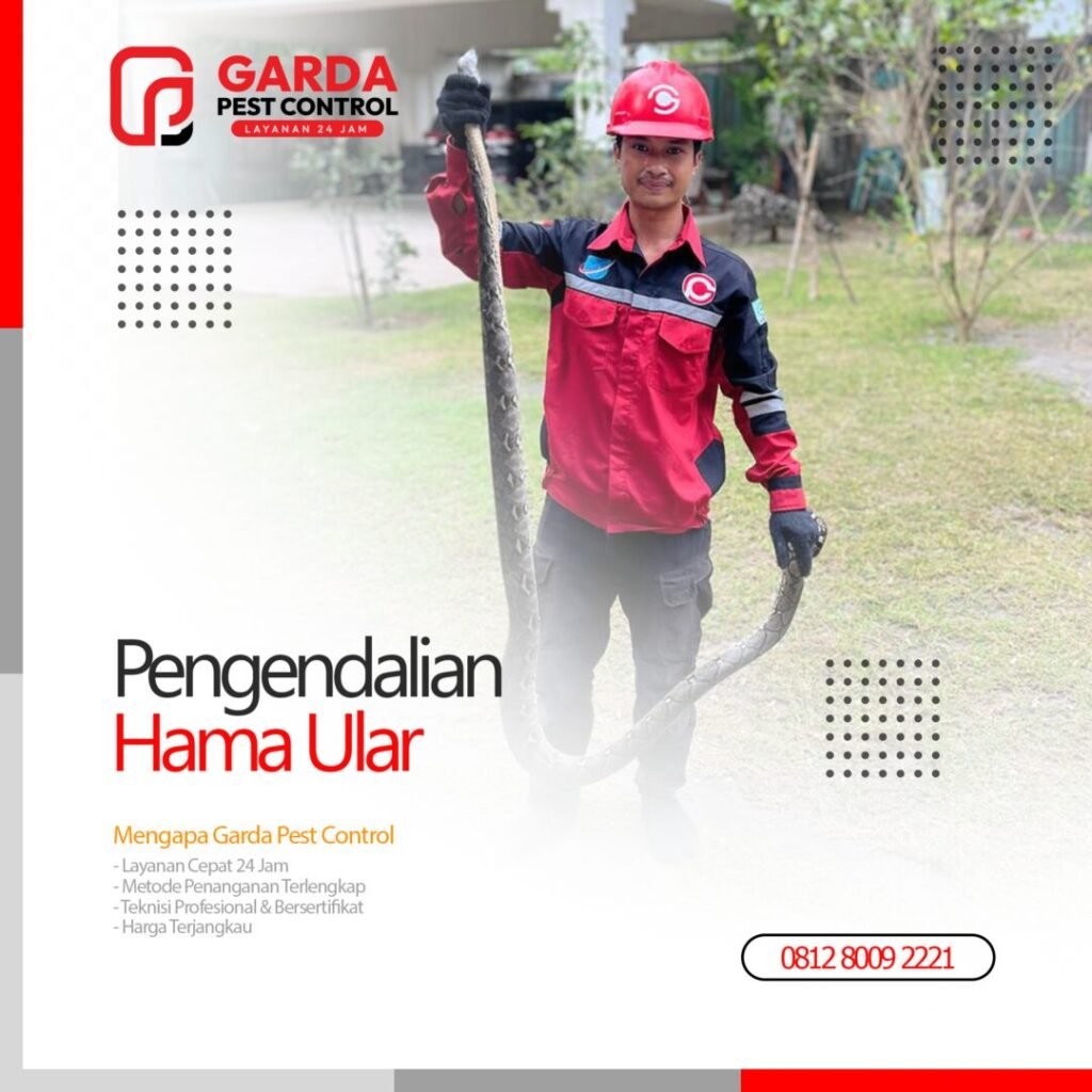 Jasa Pawang Ular Terdekat Pembasmi Ular Profesional di Bandung