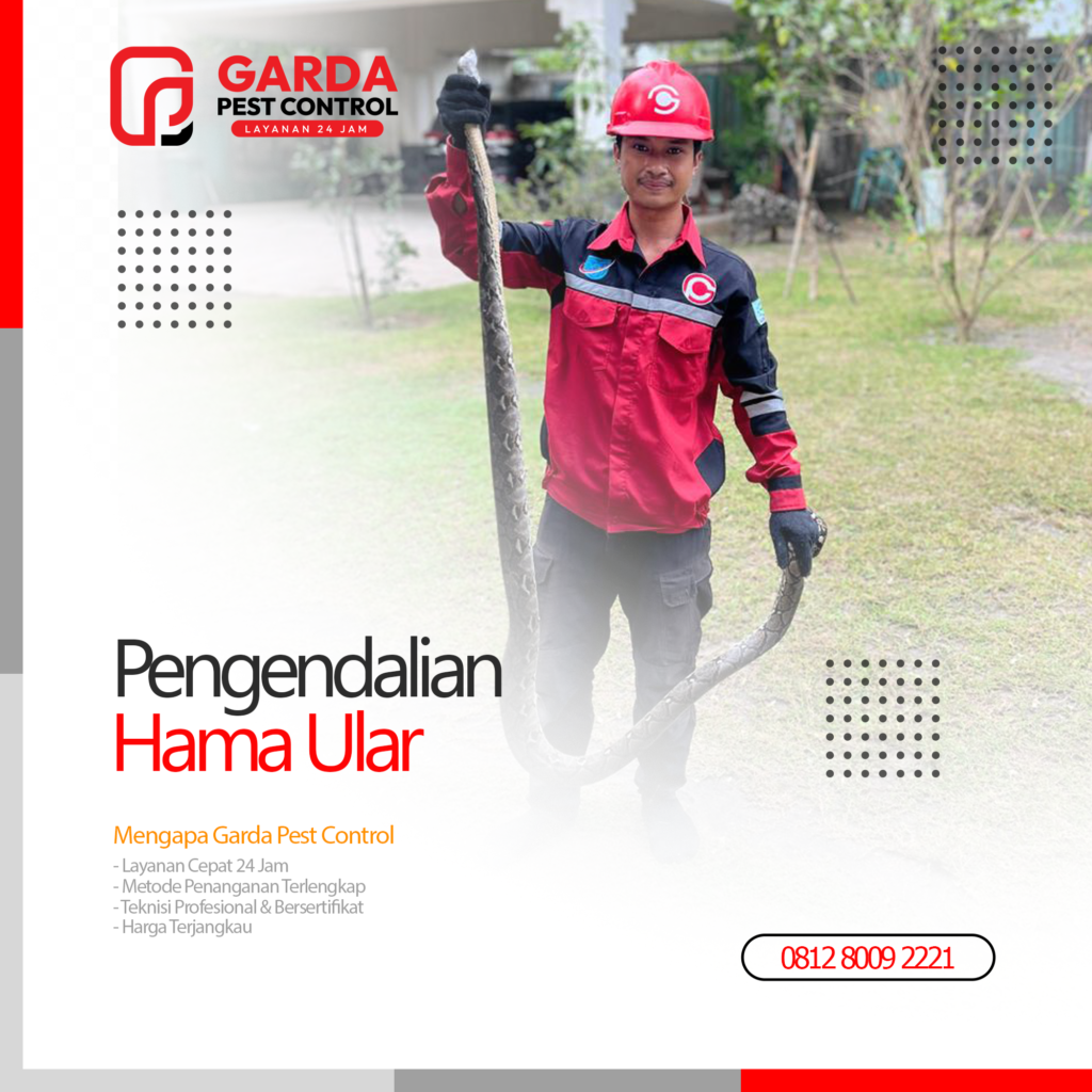 Jasa Pawang Ular Terdekat Pembasmi Ular Profesional di Bandung