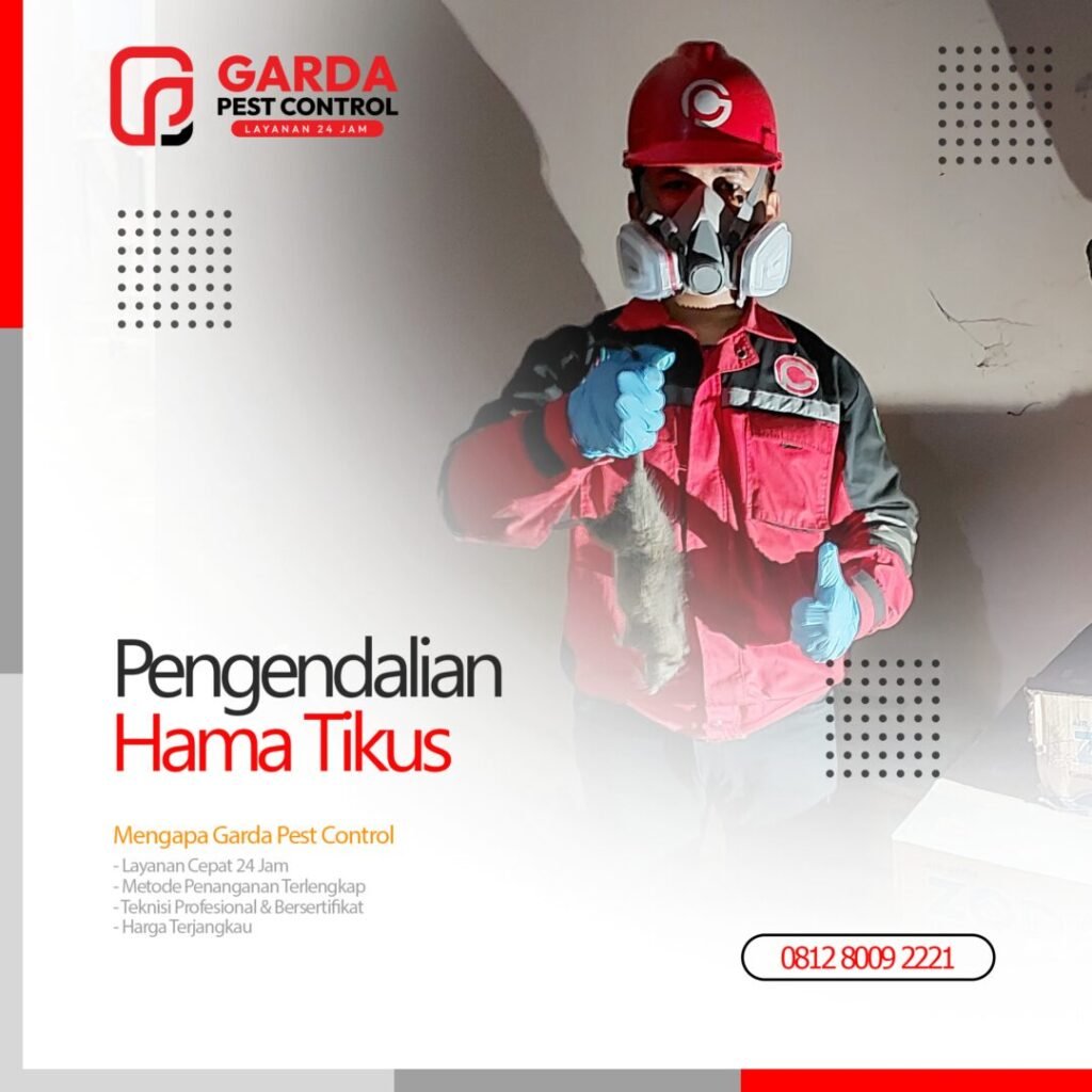 Jasa Pembasmi Tikus di Bandung Selatan: Pilihan Utama Warga Mapan