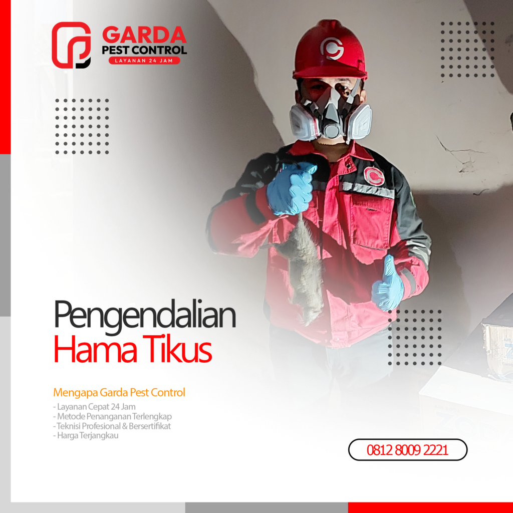 Jasa Pembasmi Tikus di Bandung Selatan: Pilihan Utama Warga Mapan