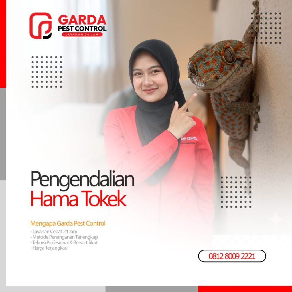 Jasa Pembasmi Tokek Terdekat di Bandung Panggilan 24 Jam