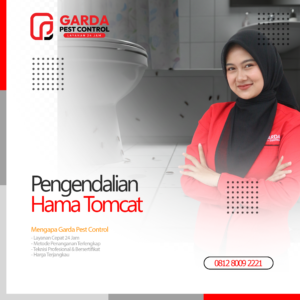 Jasa Pembasmi Tomcat Terdekat di Bandung Garda Pest Control