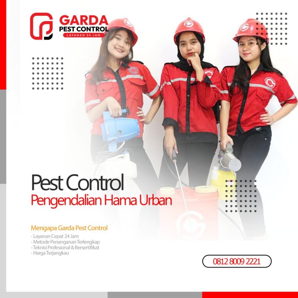 Jasa Pengambilan Bangkai Tikus dan Kucing di Bandung No.1 Harga Murah