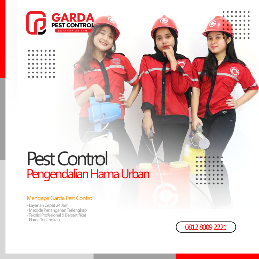 Jasa Pengambilan Bangkai Tikus dan Kucing di Bandung No.1 Harga Murah