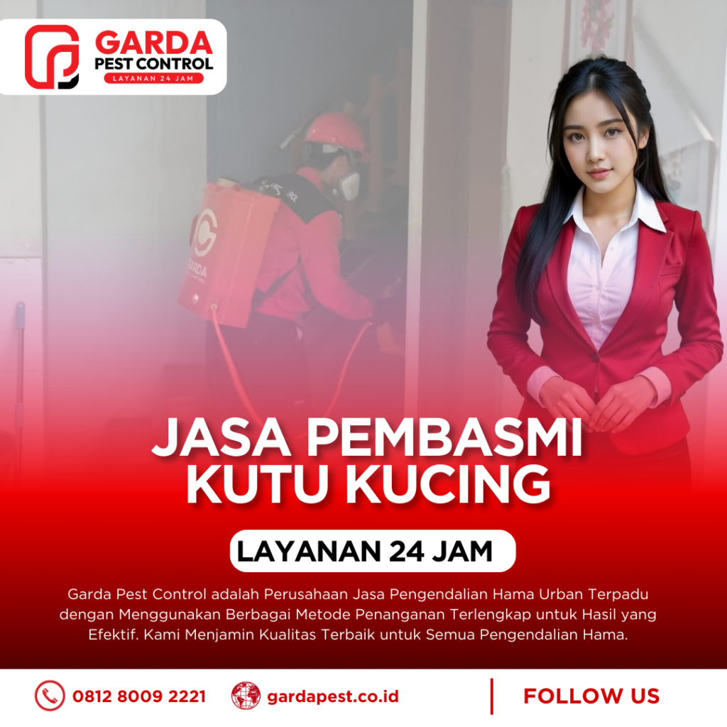 Jasa Pembasmi Kutu Kucing di Cimahi Anti Kutu Membandel