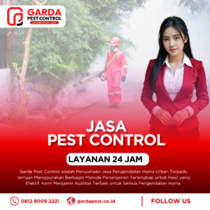 Jasa Sewa Alat Fogging Nyamuk di Bandung