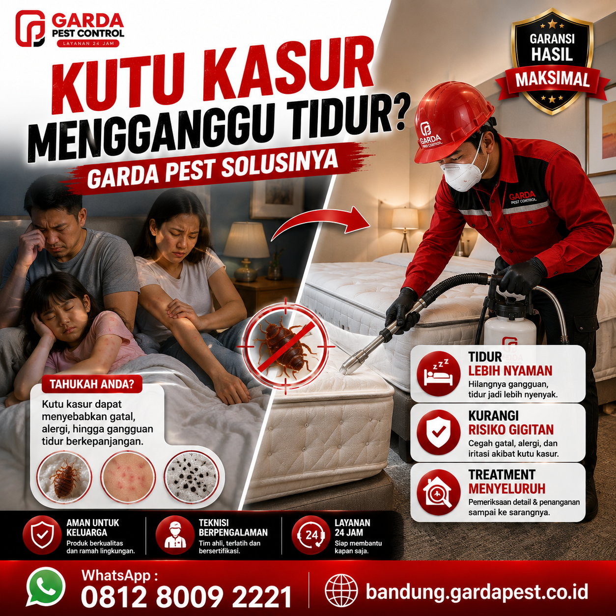 Jasa Pembasmi Kutu Busuk untuk Hotel dan Kosan Bandung